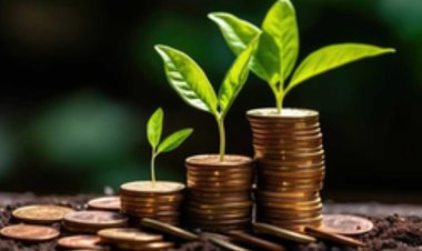 म्यूचुअल फंड्स में बड़े पैमाने पर निवेश कर रही महिलाएं, एयूएम पांच वर्षों में दोगुना हुआ: रिपोर्ट