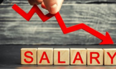 स्टार्टअप संस्थापकों की सैलरी वित्त वर्ष 24 में 25 प्रतिशत से अधिक घटी: रिपोर्ट