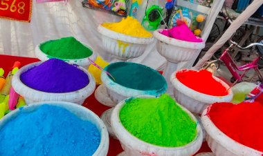 रायसेन में 500 जगहों पर होगा होलिका दहन:पाटनदेव हनुमान मंदिर से निकलेगा जुलूस; भक्त राधा कृष्ण मंदिर में खेलेंगे फूलों की होली