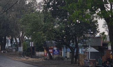 उकियोतो इंटरनेशनल चिल्ड्रन्स बुक अवार्ड्स के लिए रायपुर की डॉ. मृणालिका की रचना चयनित