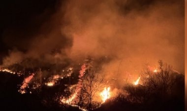 दक्षिण कोरिया : जंगल की आग को बुझाने में बाधा बनी तेज हवाएं, लोगों को घर खाली करने के निर्दश