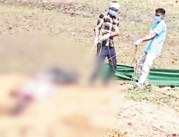 भालू की मौत पर हो रहे रोज नए खुलासे विभागीय लापरवाही खुलकर आई सामने!